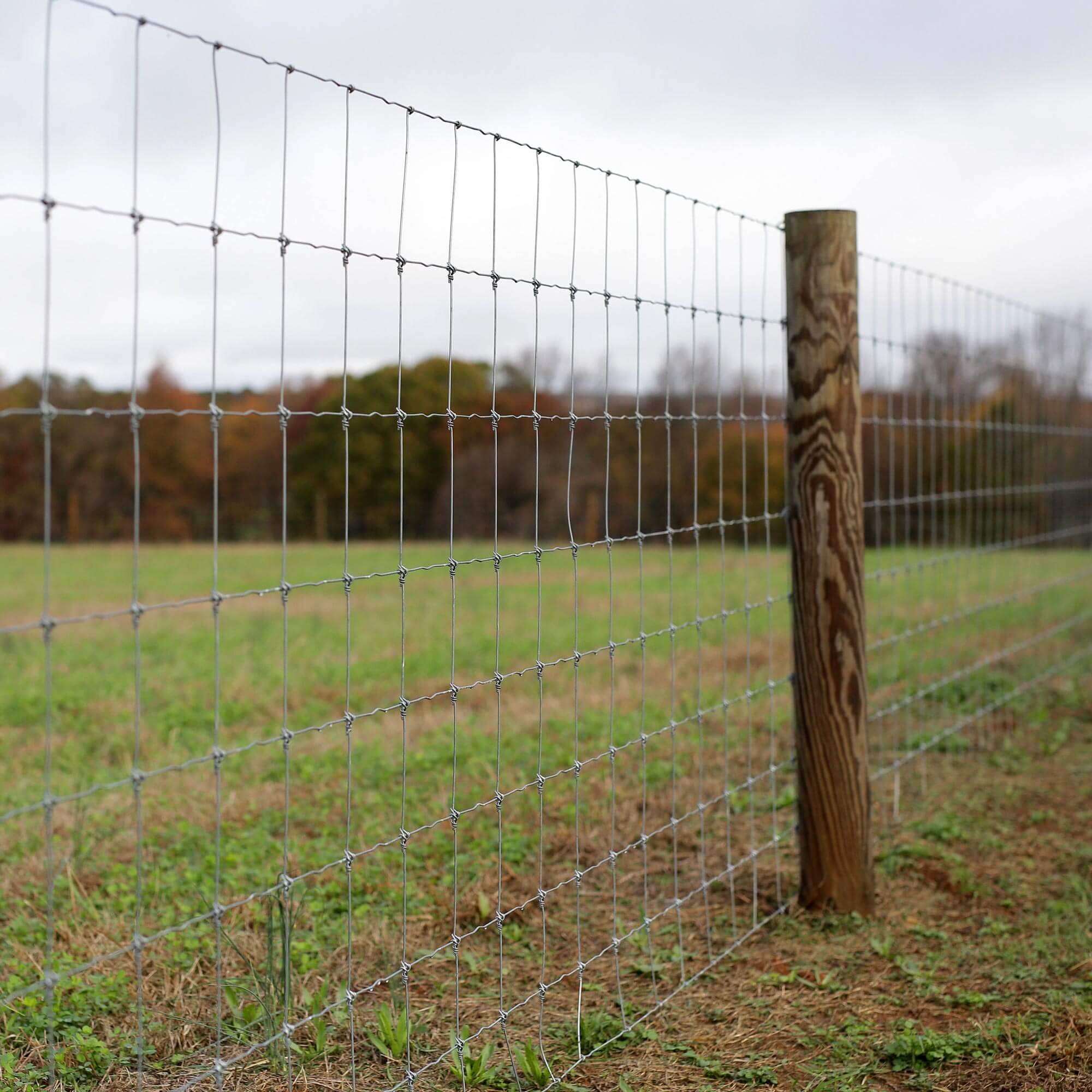 Wire Farm Fence Galvanized Wire fence