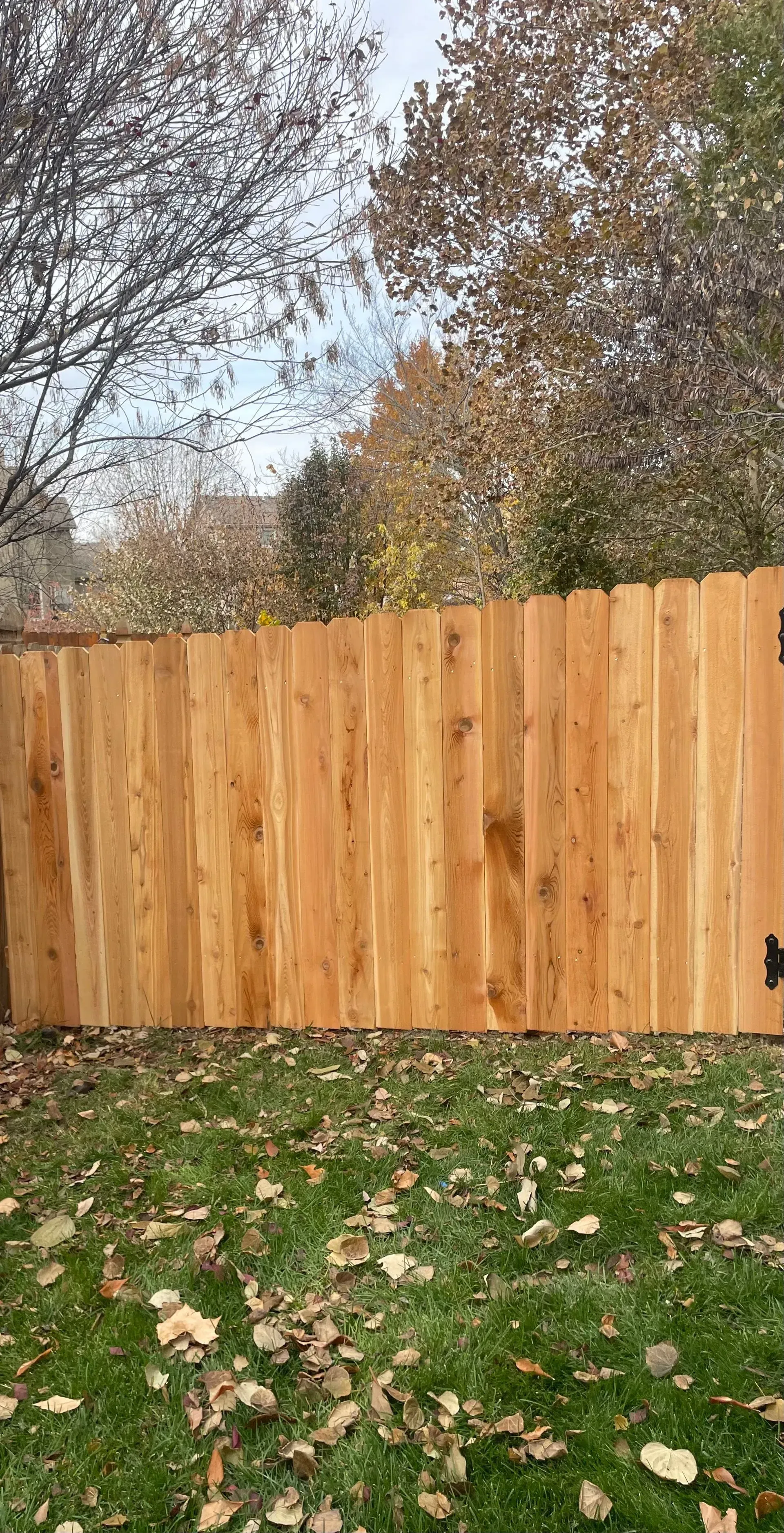 Cedar dog-ear fence with black gate latch in a fall backyard in Leawood, KS — RKC Wood Care Pros