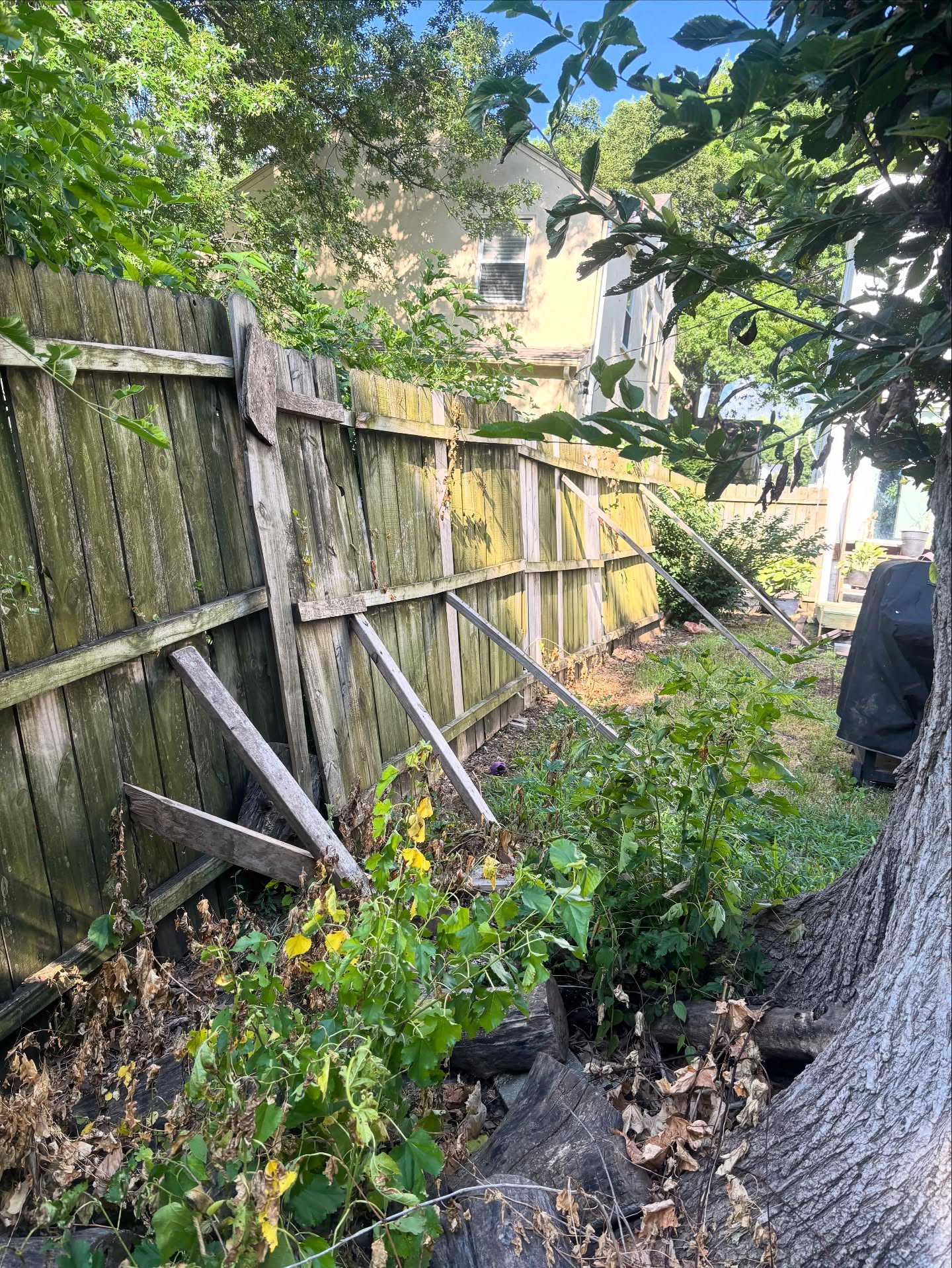 Leaning wood privacy fence with collapsed sections from shallow post failure in Kansas City — RKC Wood Care Pros
