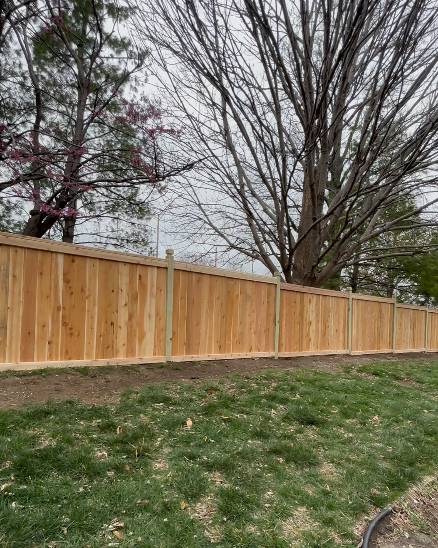 Long run of cedar privacy fence installed in the Kansas City metro
