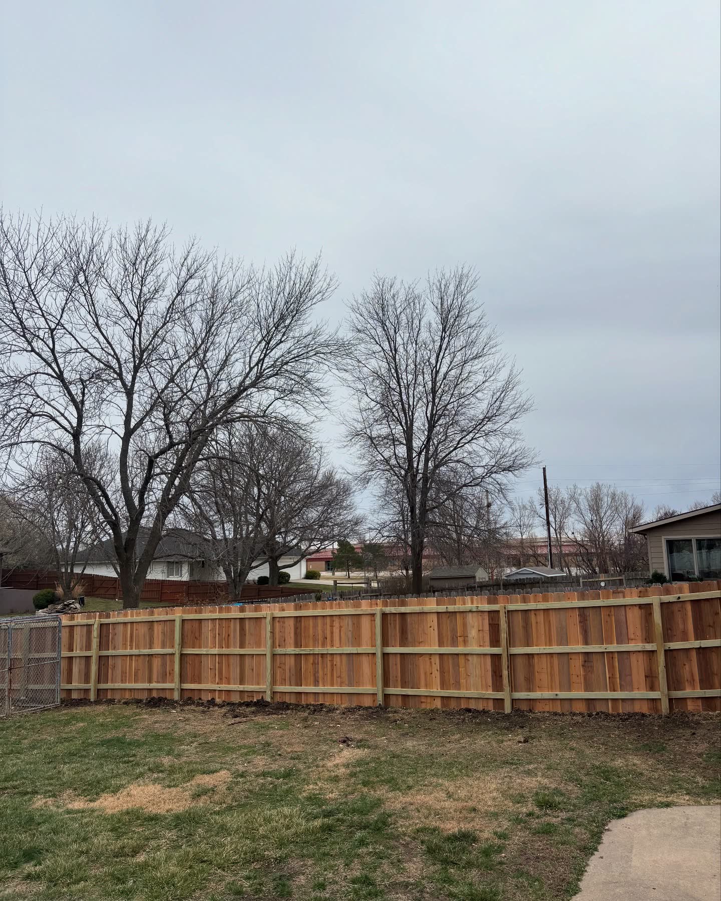New unstained cedar dog-ear fence in a Kansas City suburban backyard — RKC Wood Care Pros
