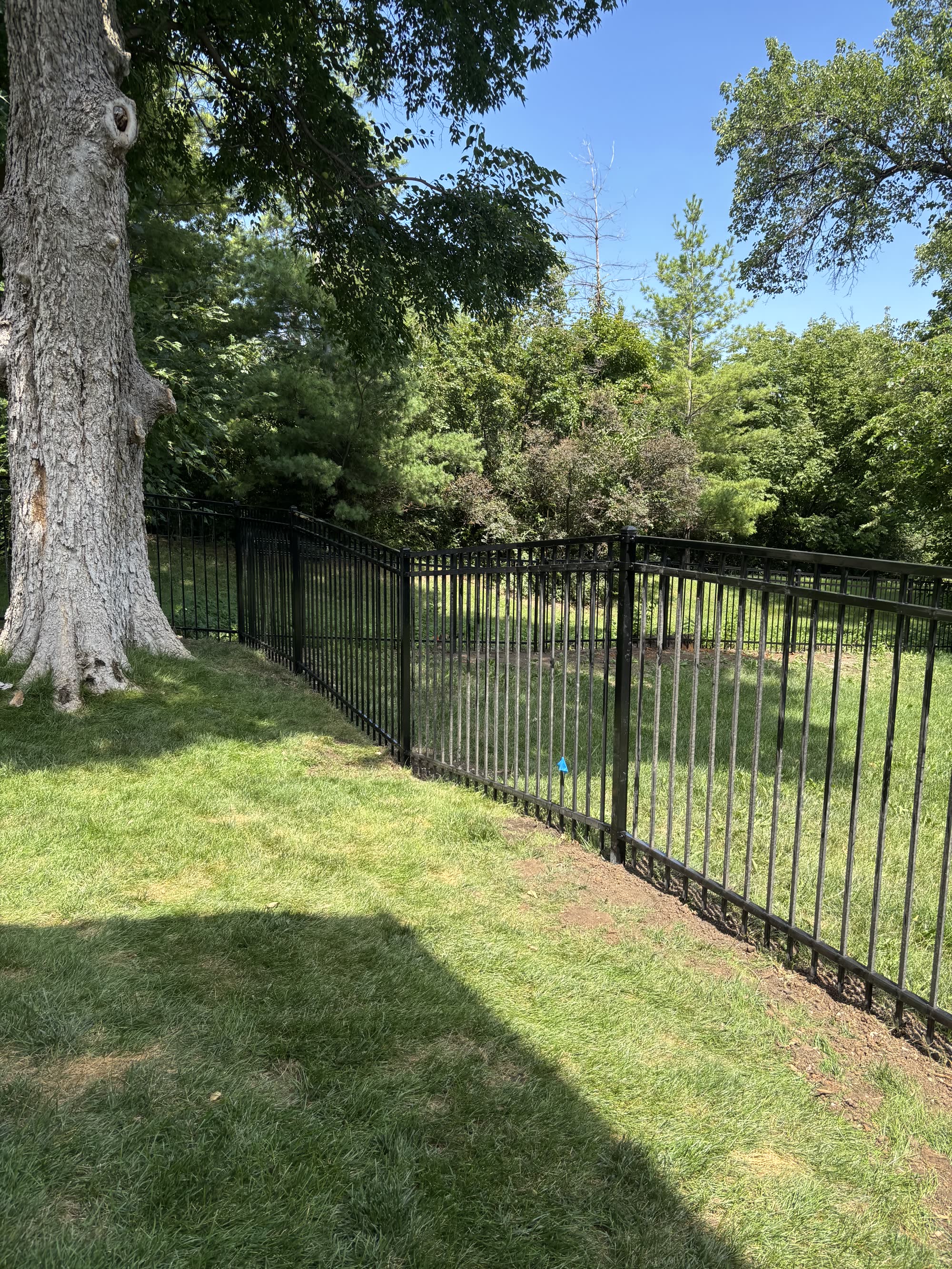 Black ornamental aluminum fence in a landscaped Kansas City yard with mature trees — RKC Wood Care Pros