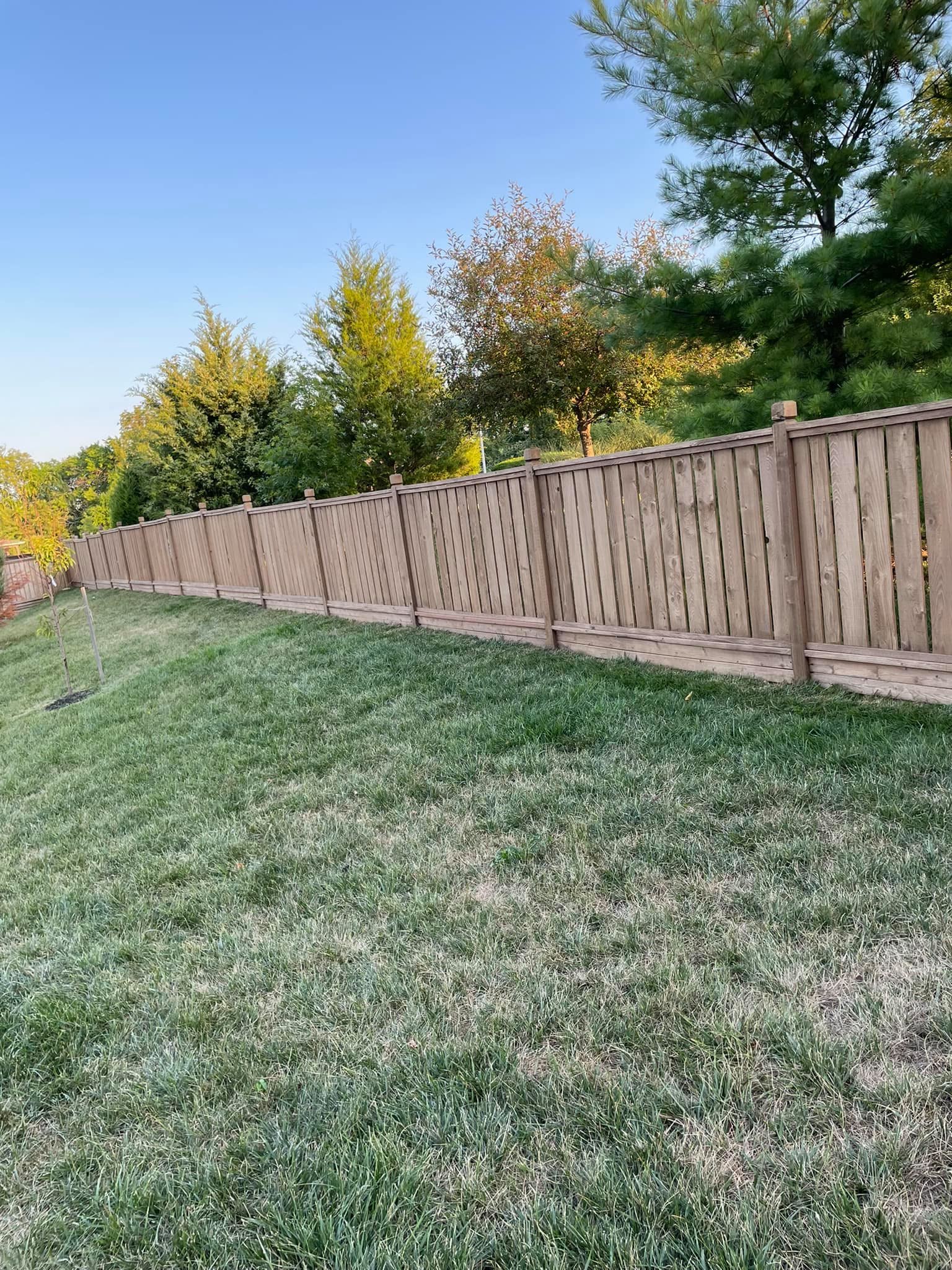 Board-on-board privacy fence in Lenexa, KS by RKC Wood Care Pros