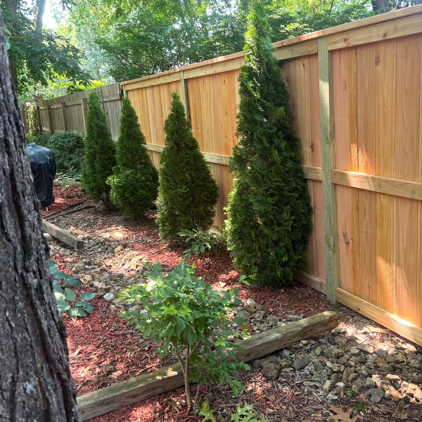 Finished cedar board-on-board privacy fence install by RKC Wood Care Pros in the Kansas City metro