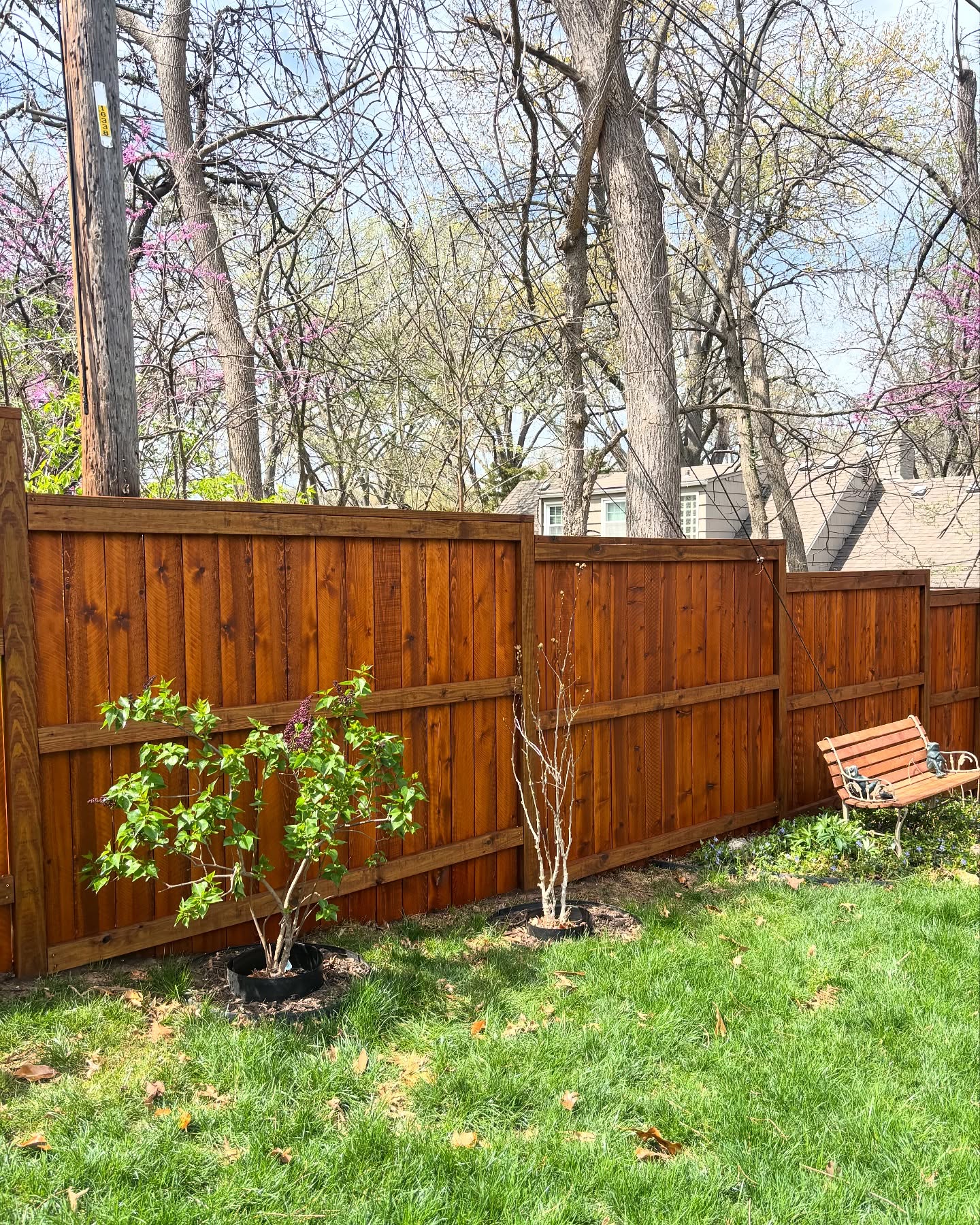 Semi-transparent stain finish on a Kansas City cedar fence by RKC Wood Care Pros
