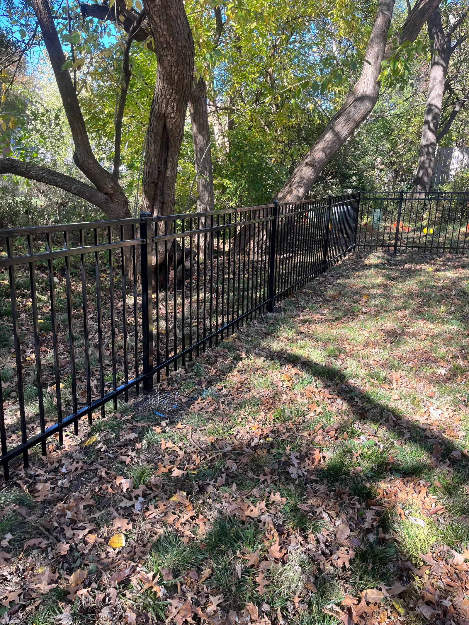 Black iron ornamental fence running through wooded autumn property in Lee's Summit, MO — fallen leaves on ground