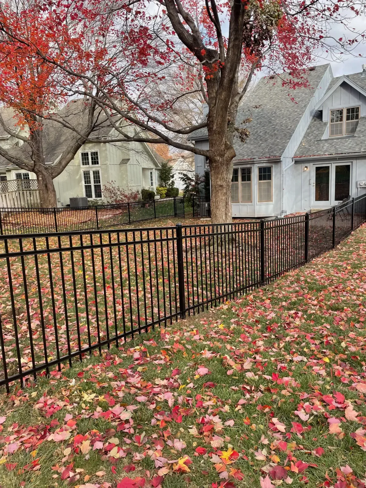 Second angle of black aluminum ornamental fence at Mission, KS property — autumn setting